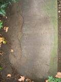 image of grave number 676990